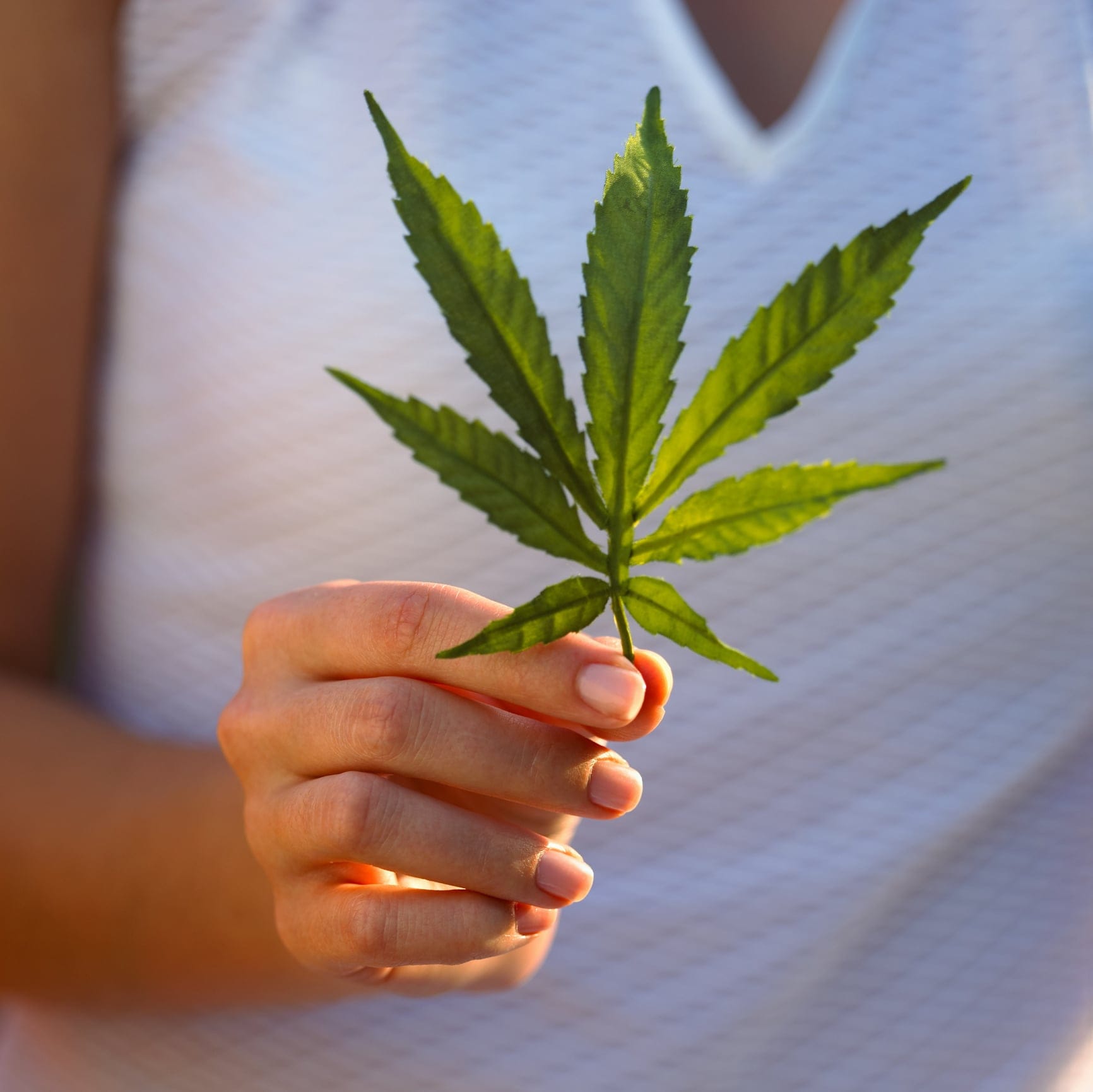 Holding Cannibis Leaf