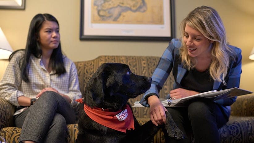 Melanie Joly with foster dog Naboo