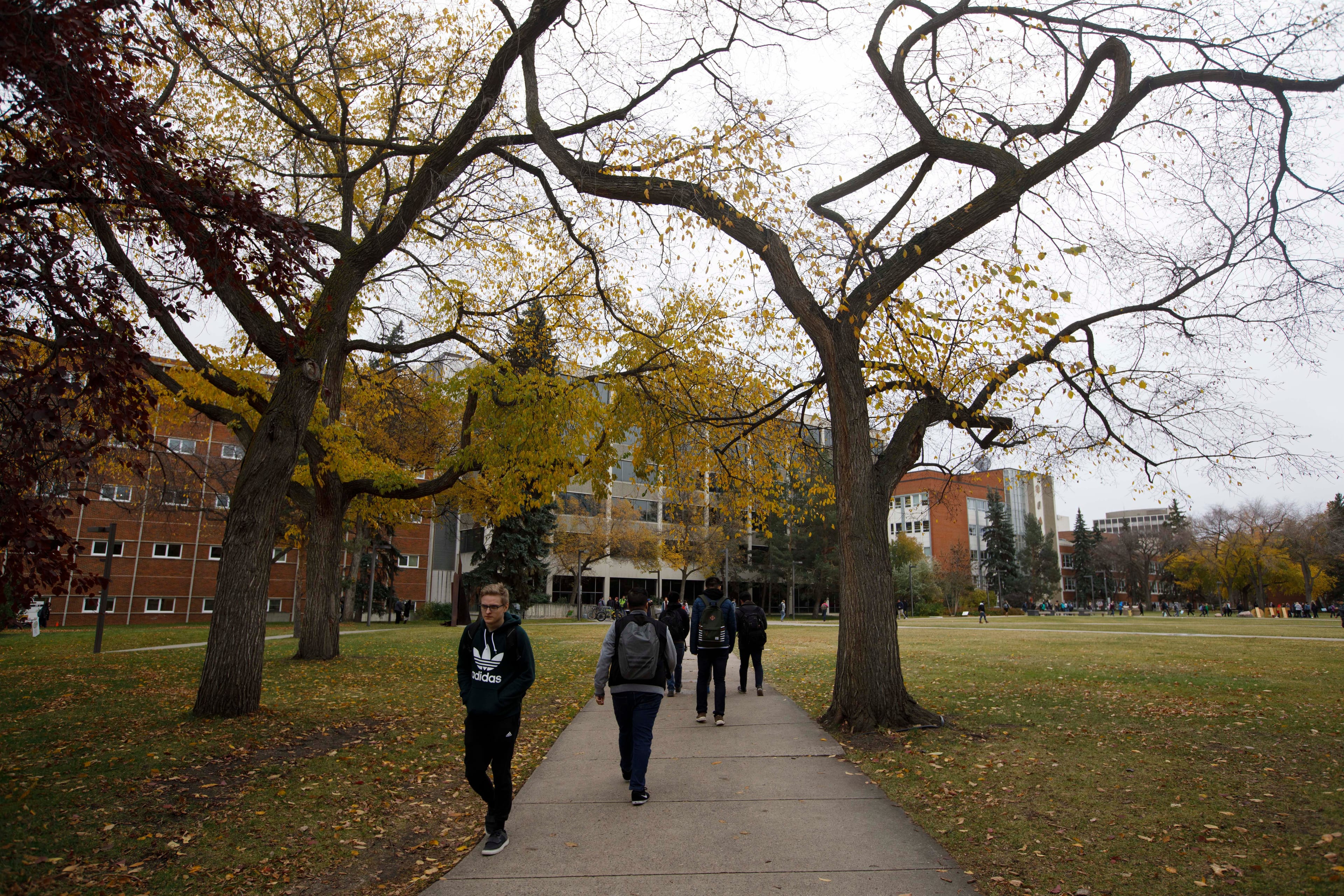 Main quad area at the University of Alberta in Edmonton Alberta, October 11, 2017. Jason Franson for Maclean's Magazine. (Photograph by Jason Franson)