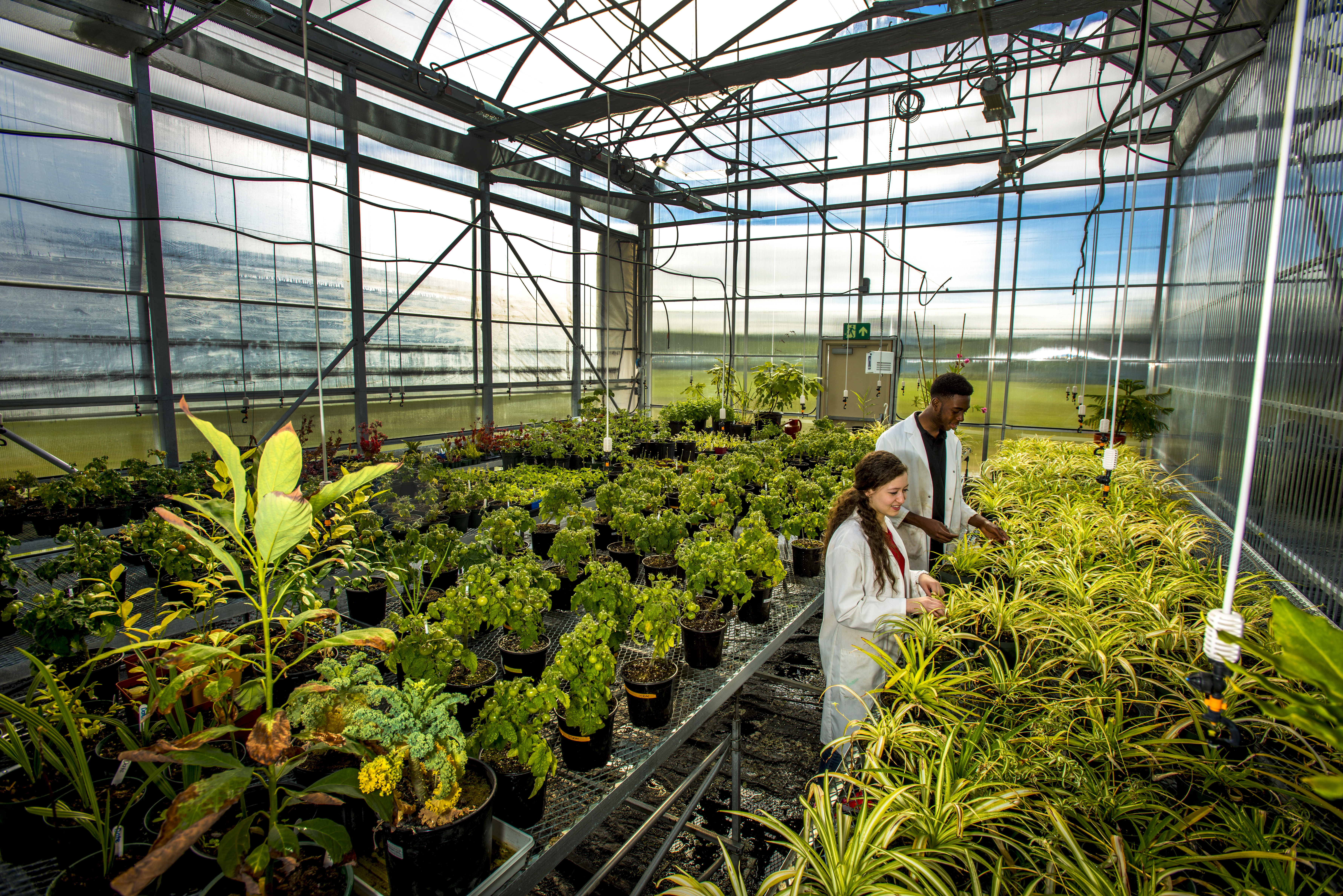 (Dave Reyno/Universite Sainte-Anne)