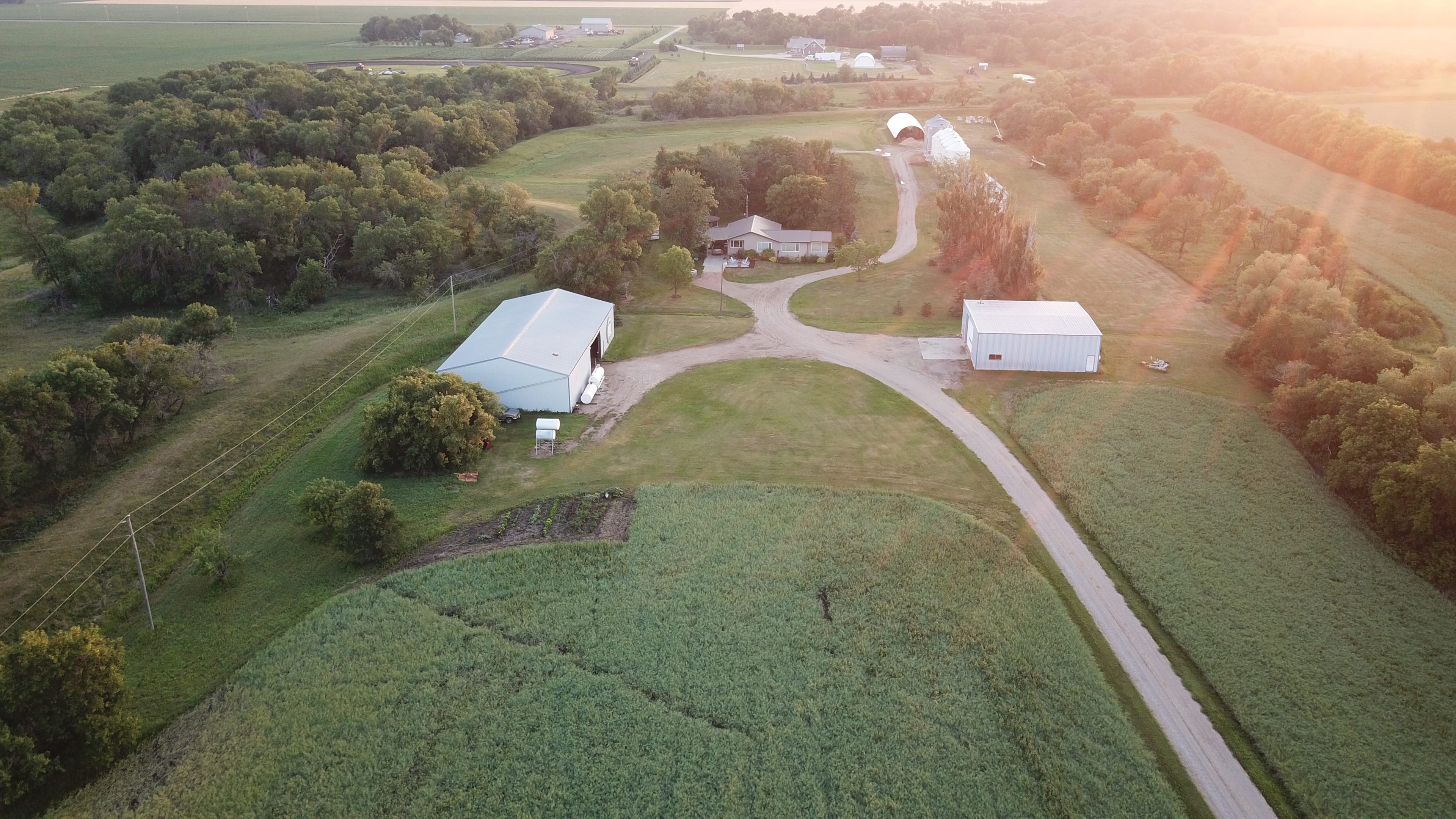 An aerial view of Toban Dyck's farm in southern Manitoba. (Photograph by Toban Dyck)