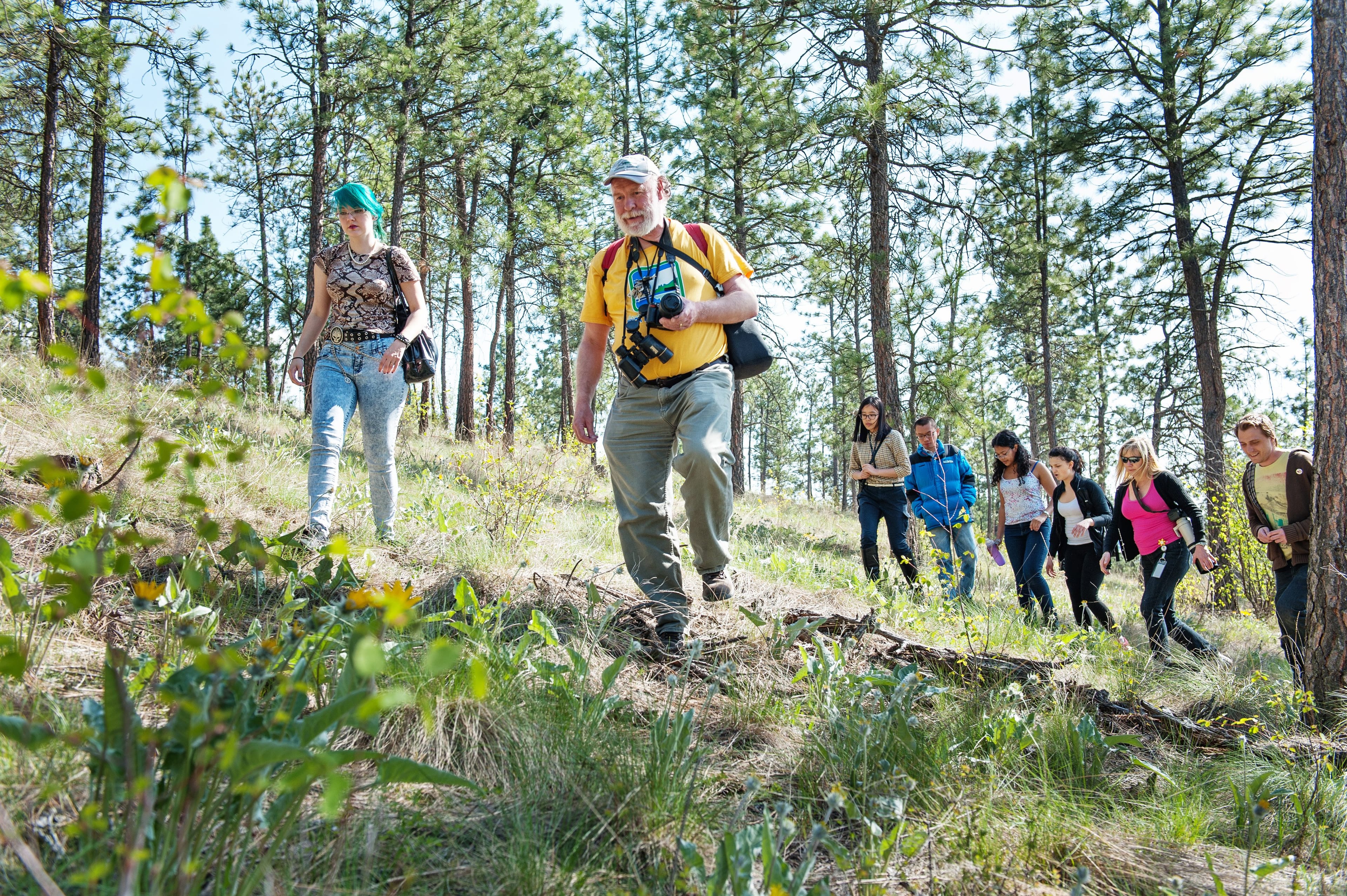 Students in the field. (Martin Dee/UBC Okanagan)