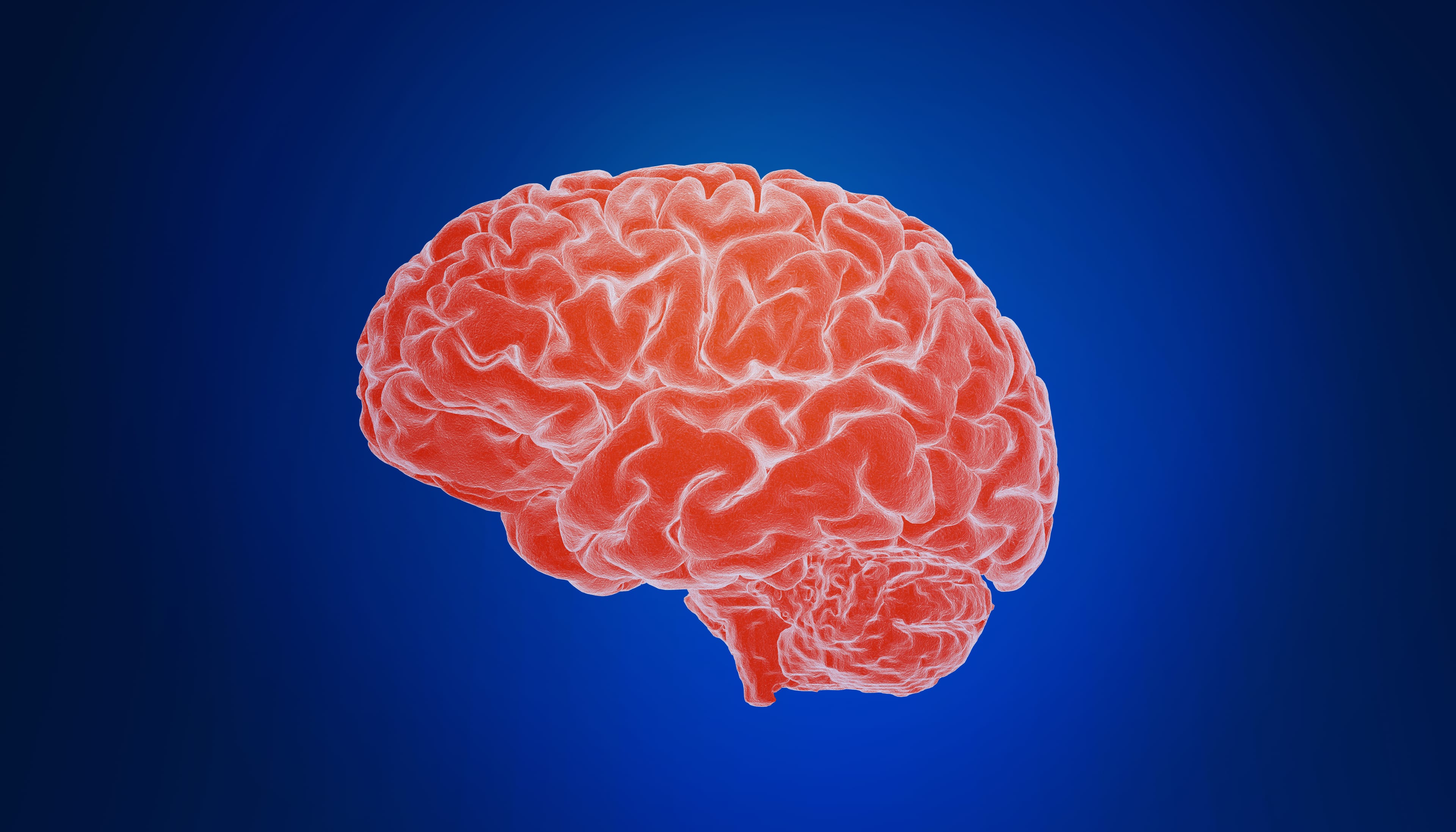 (Shutterstock)