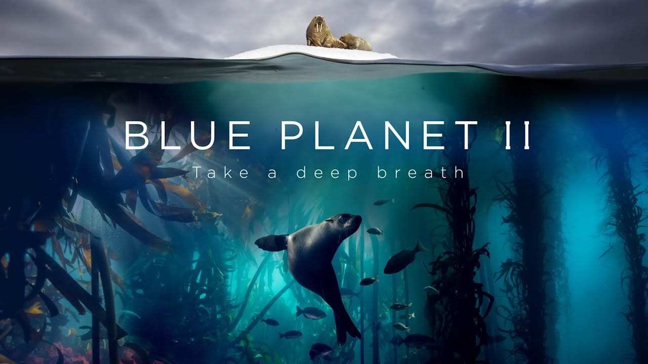 NETFLIX-BLUE-PLANET-II