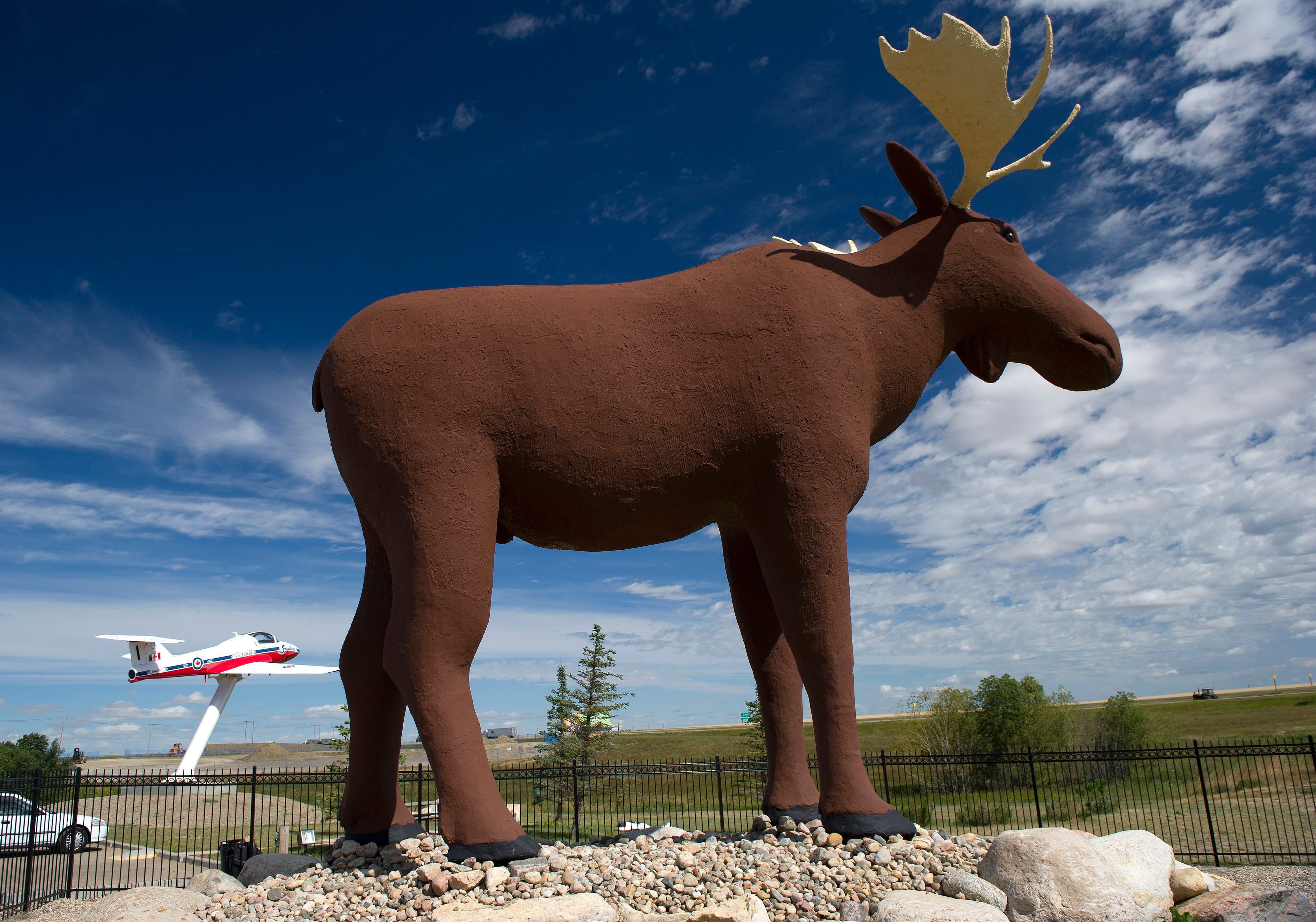 Mac the Moose on his pedestal outside Moose Jaw, Sask. (The Canadian Press Images/Larry MacDougal)