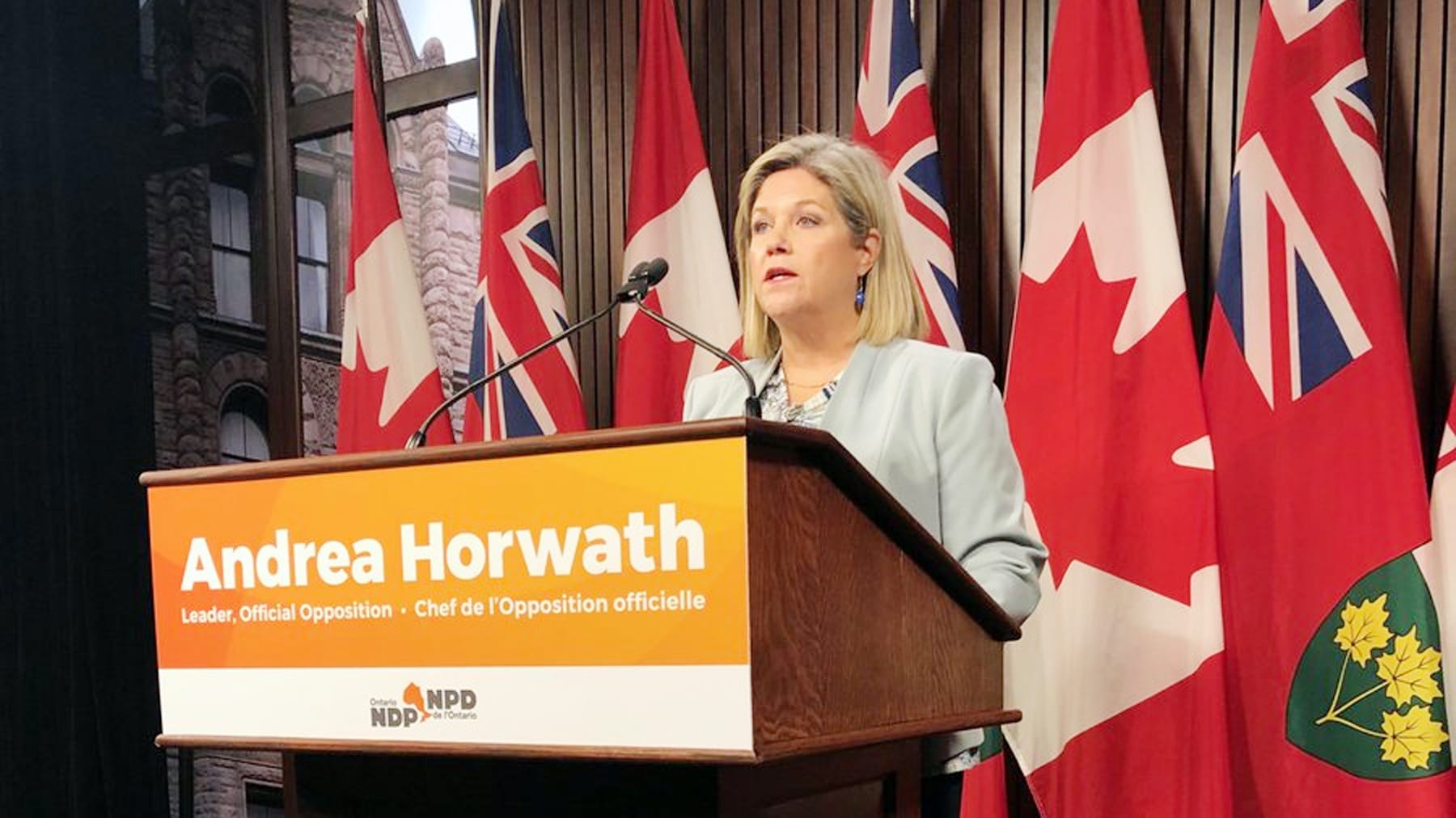 Ontario NDP Leader Andrea Horwath speaks with reporters in Queen's Park in Toronto on Jan. 31, 2019. CITYNEWS/Cynthia Mulligan
