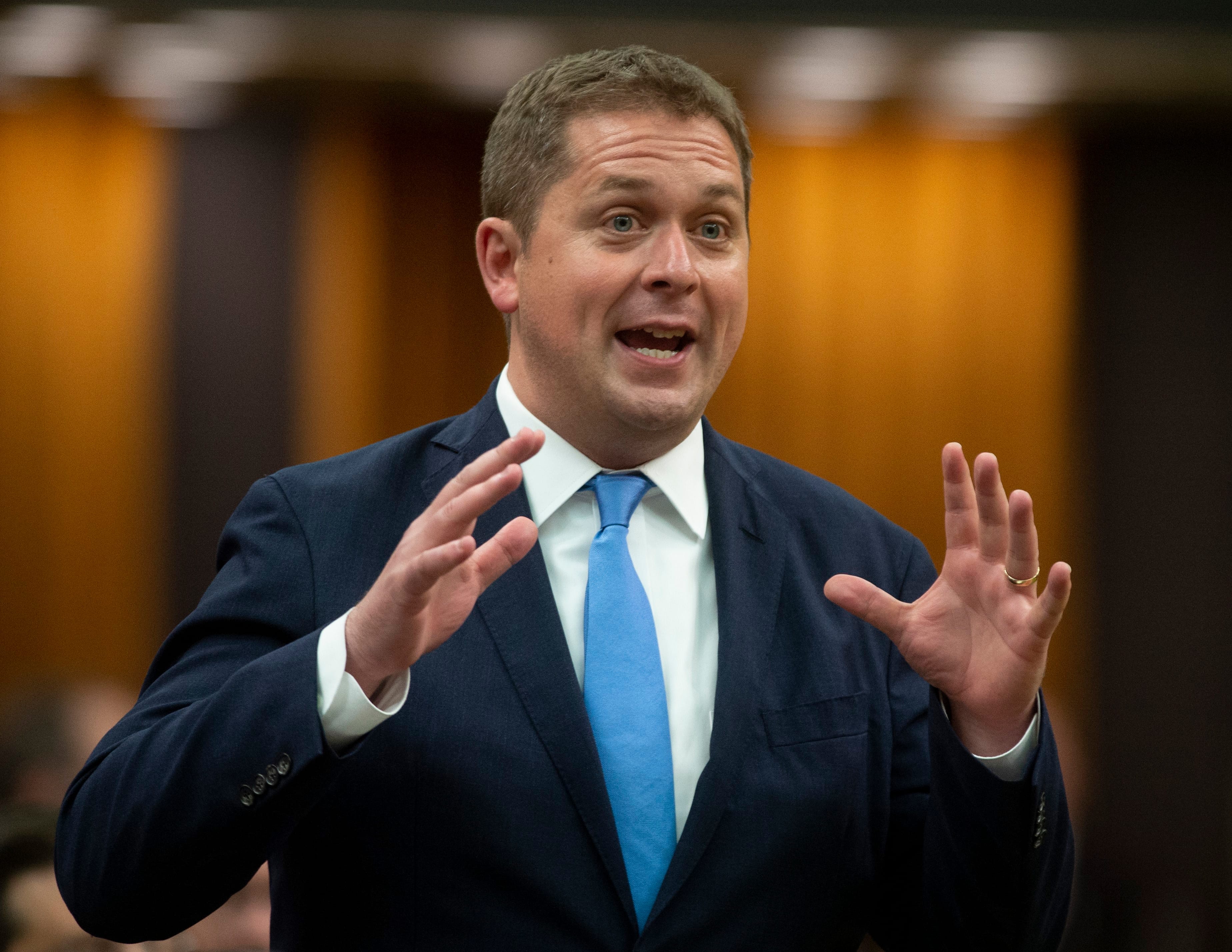 Scheer rises during Question Period in the House of Commons on June 19, 2019, in Ottawa. (Adrian Wyld/CP)
