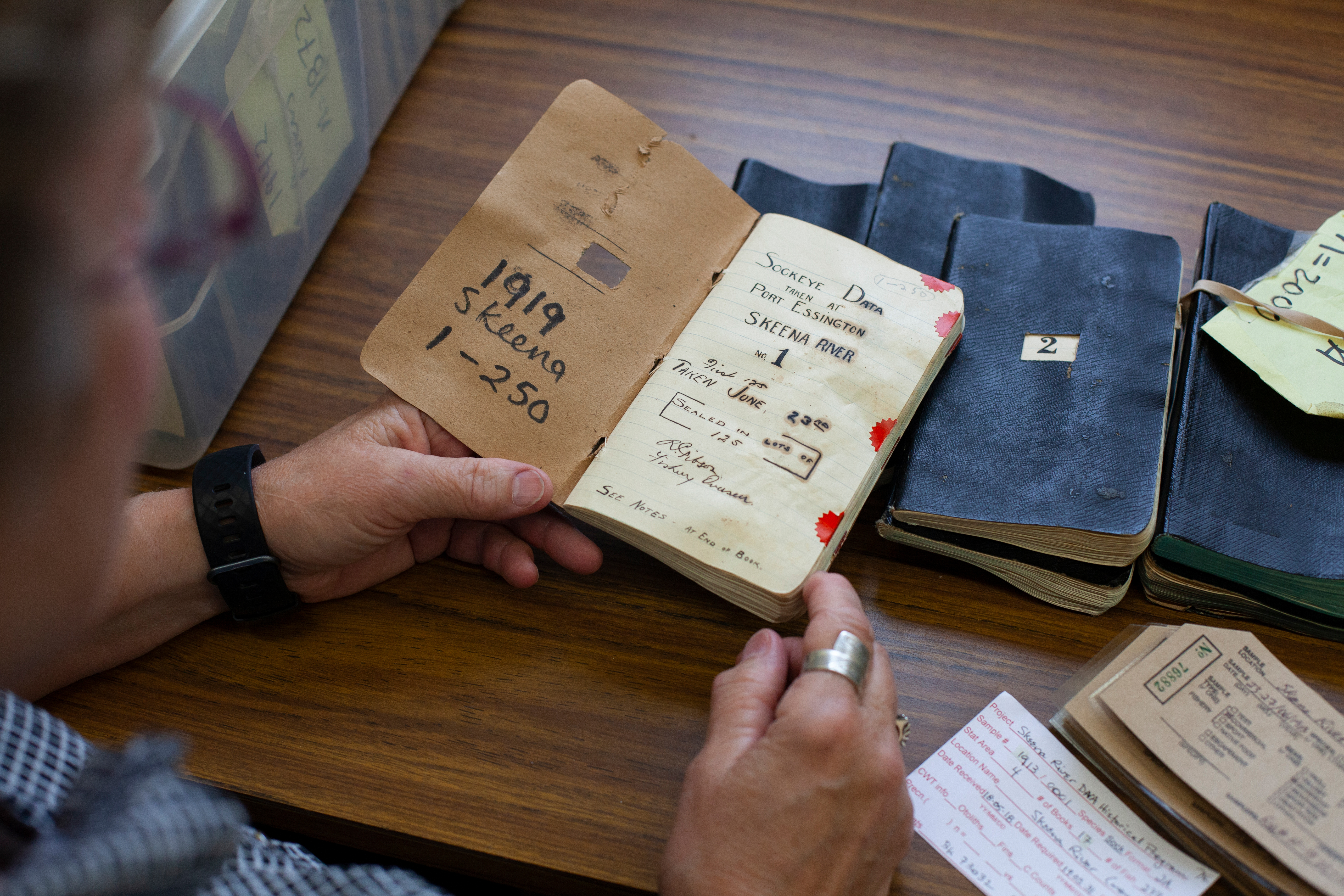 Darlene Gillespie opens a book filled with archival sockeye scales from 1913 at The Pacific Biological Station in Nanaimo BC. (Photograph by Jen Osborne)