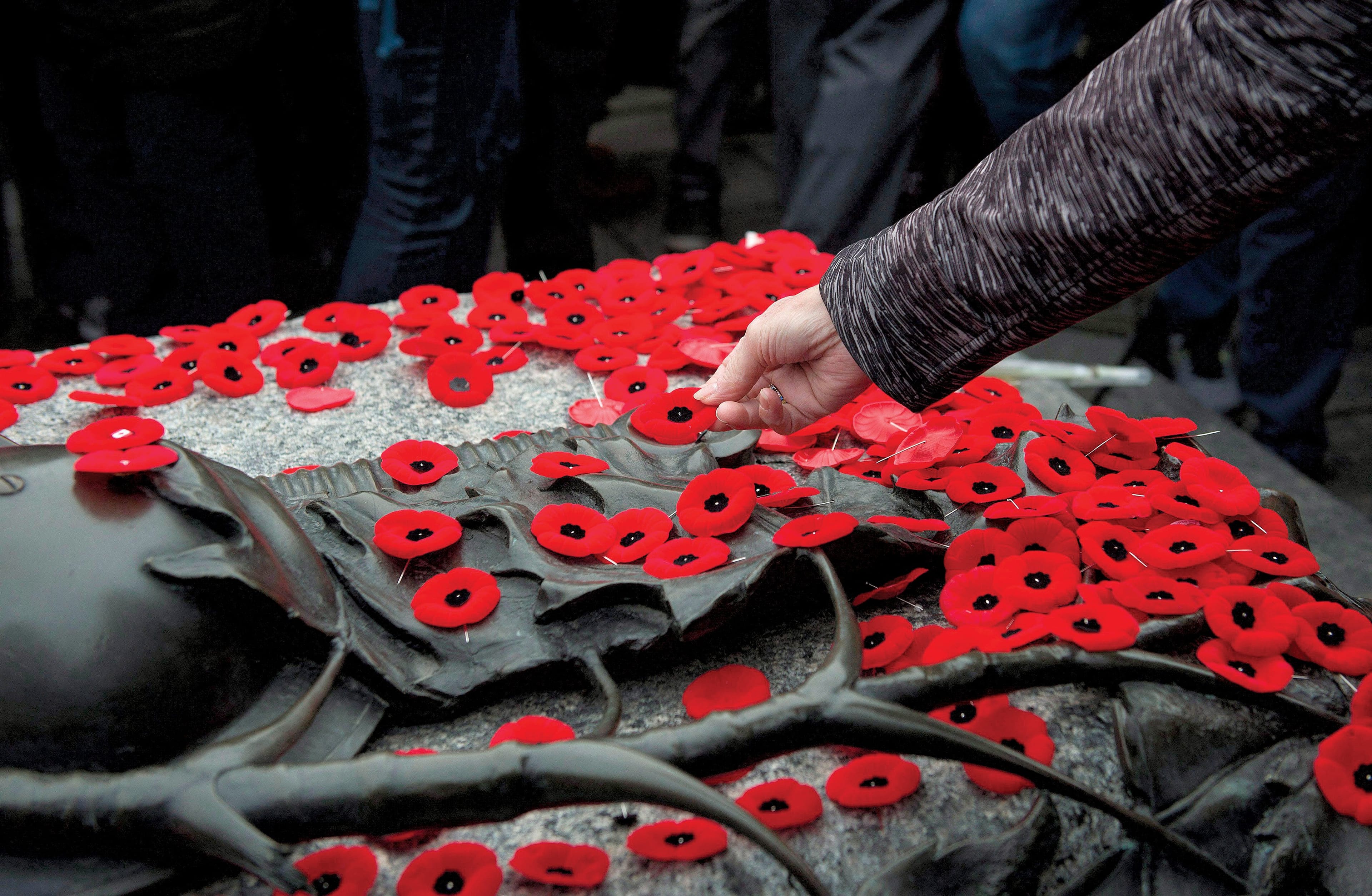 People place poppies on the Tomb of the Unknown Soldier at the National War Memorial in Ottawa (Justin Tang/CP)