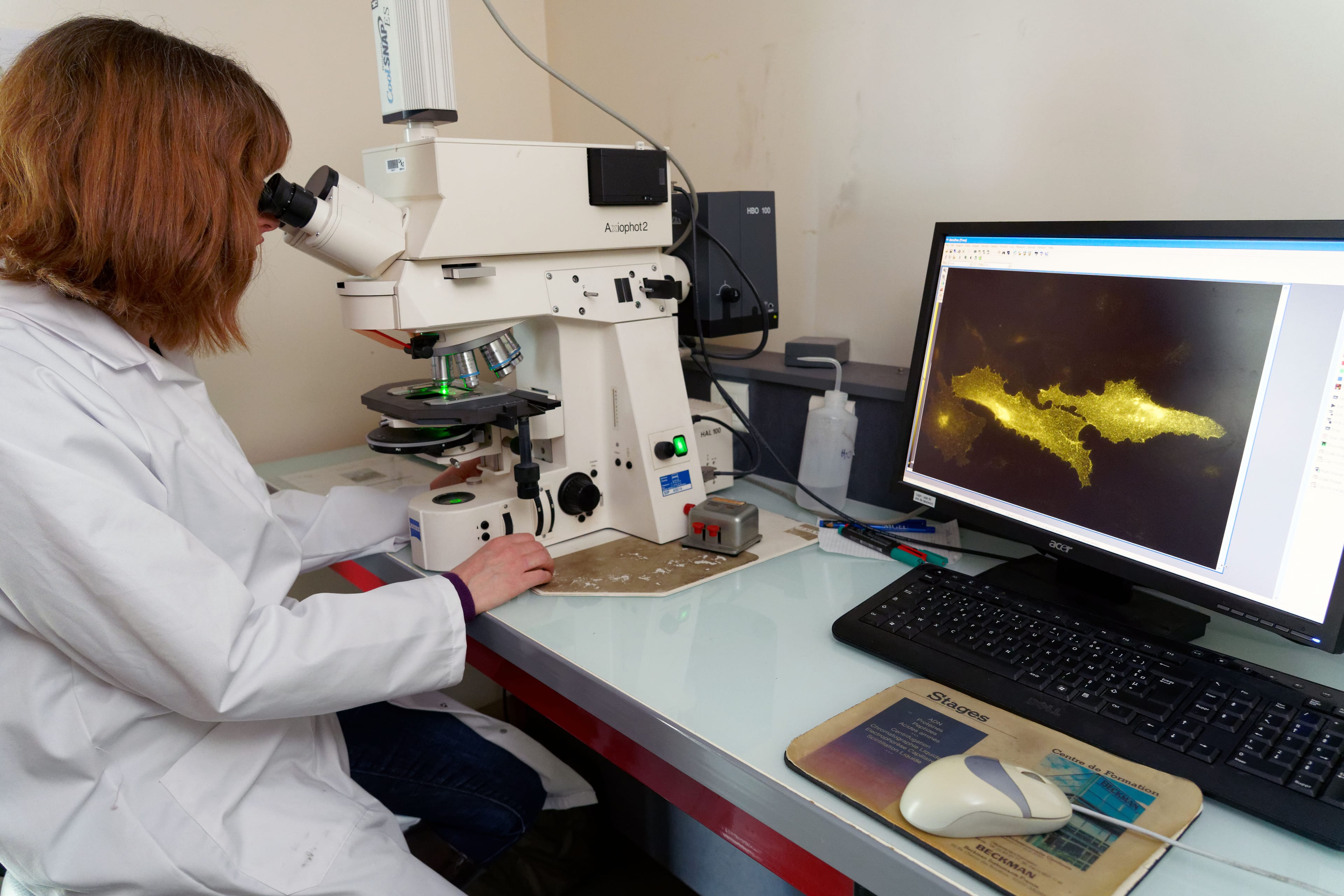 A virologist at France's Pasteur Institute looks at COVID-19-infected cells using an electron microscope (Sylvain Lefevre/Getty Images)