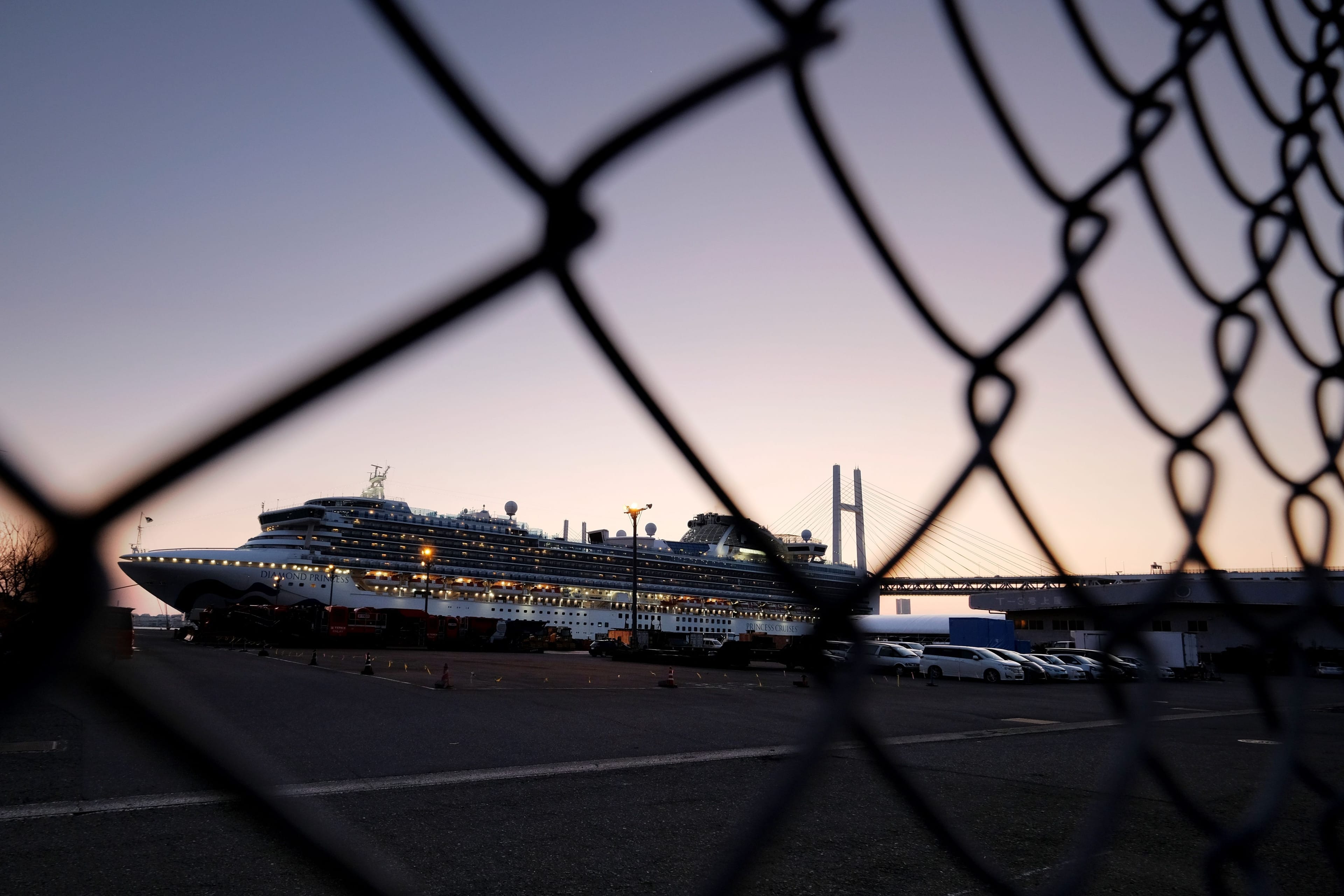 The Diamond Princess cruise ship at Daikoku pier cruise terminal in Yokohama port. (Kazuhiro Nogi/AFP via Getty Images)