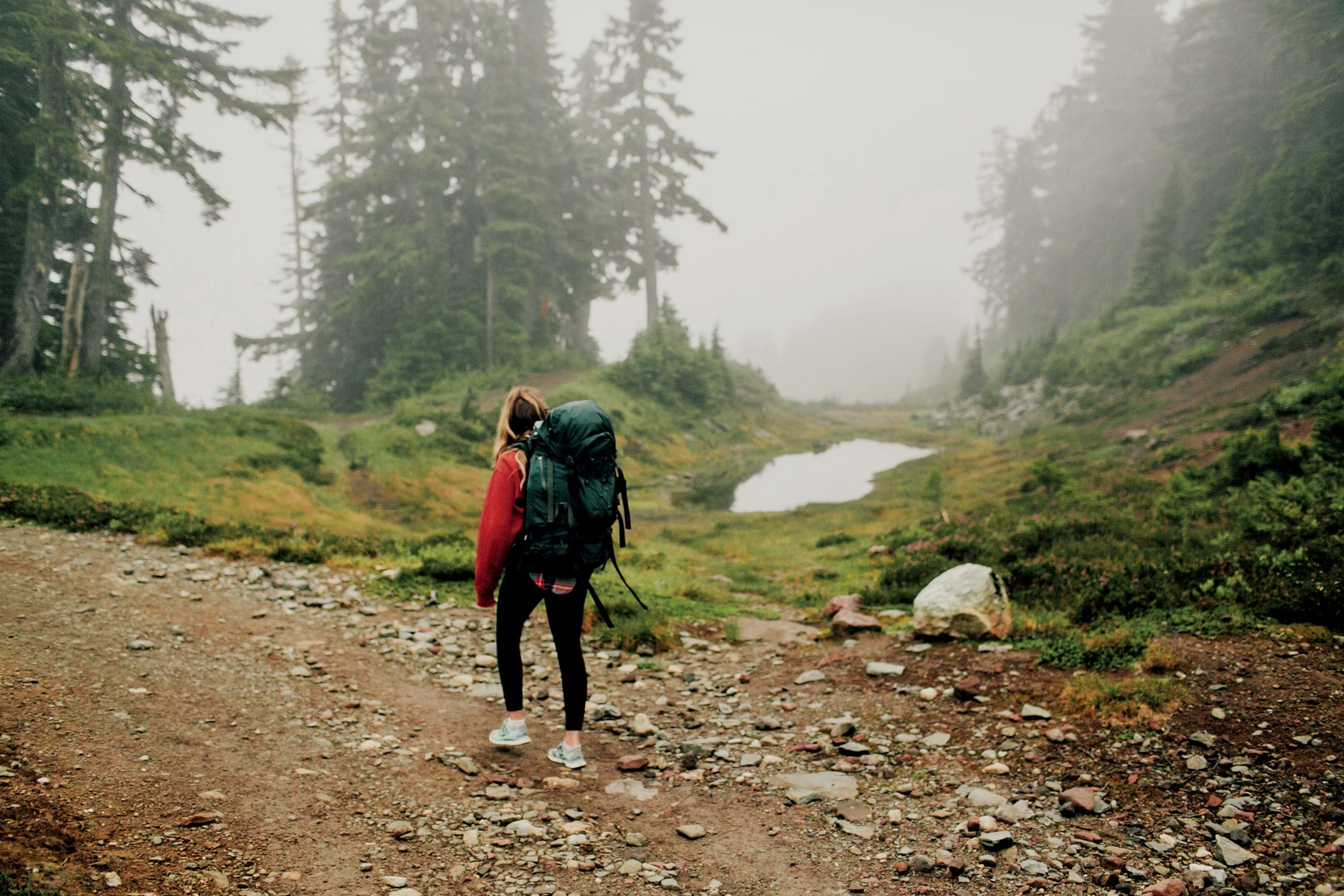 (Taylor Roades/Stocksy)