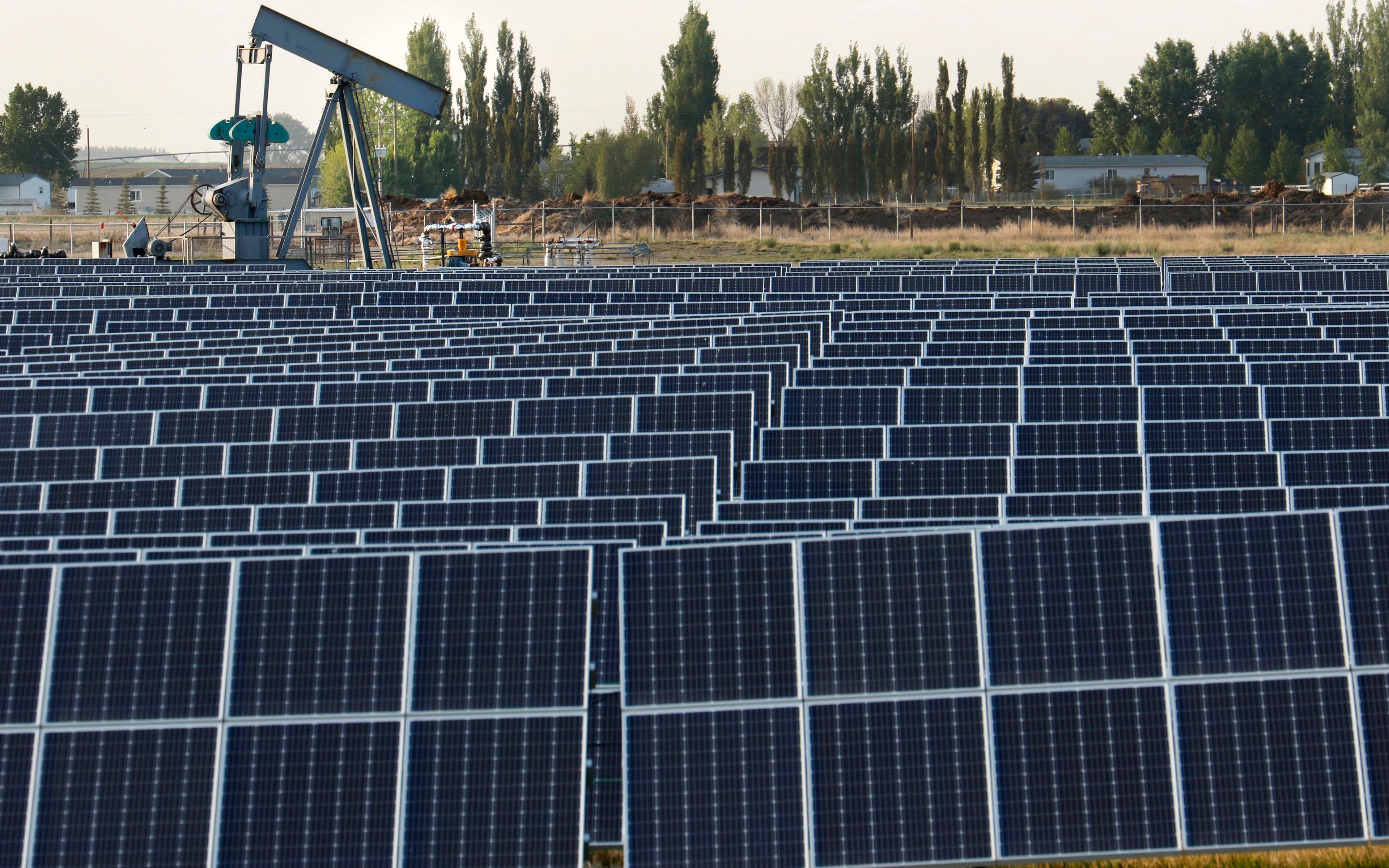 A field of solar energy panels beside a deactivated oilwell pumpjack near Brooks, Alberta on Tues., May 28, 2019. (Larry MacDougal /CP)