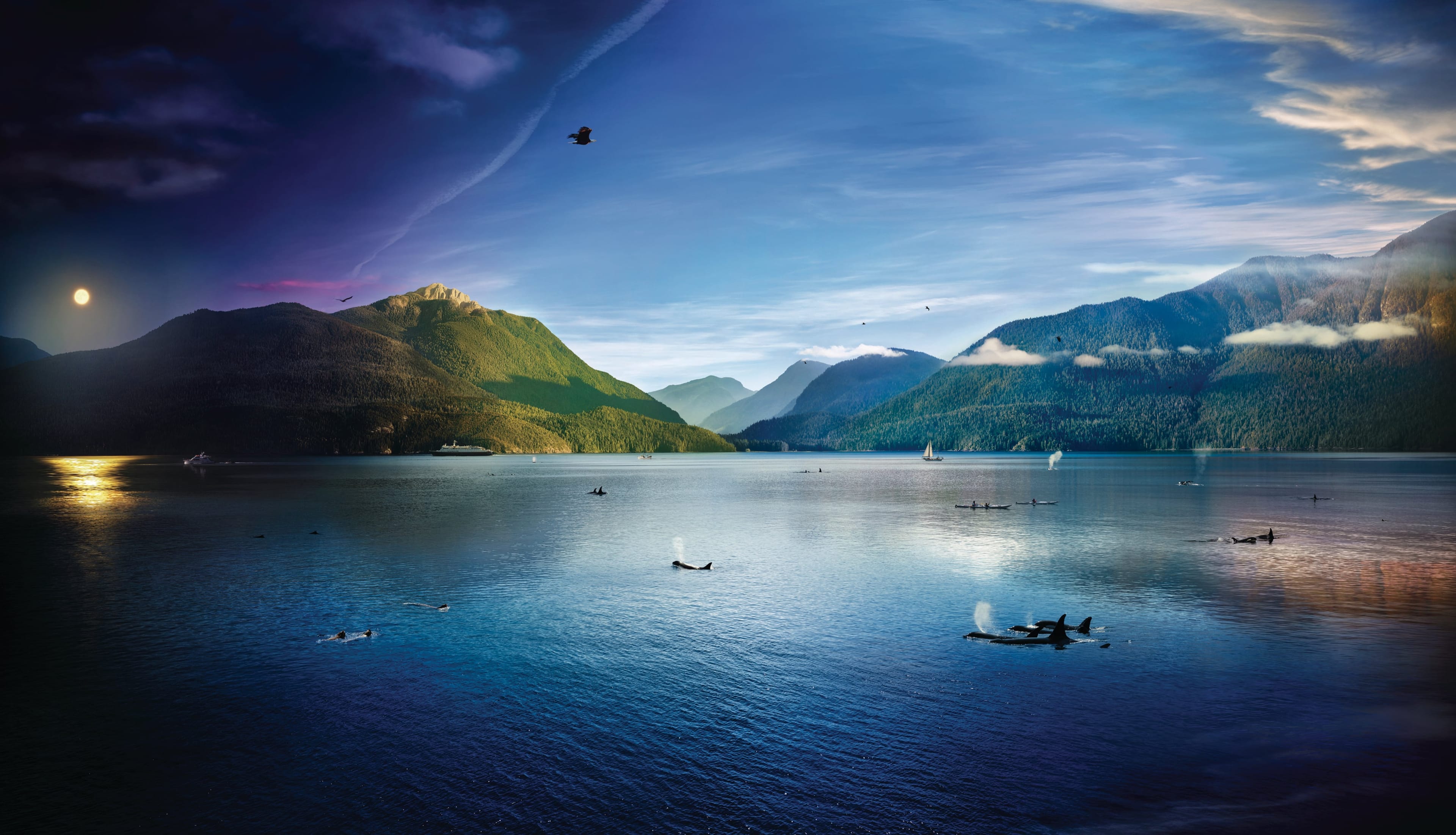 Robson Bight, B.C. part of Stephen Wilkes' "Day to Night" series (Stephen Wilkes)