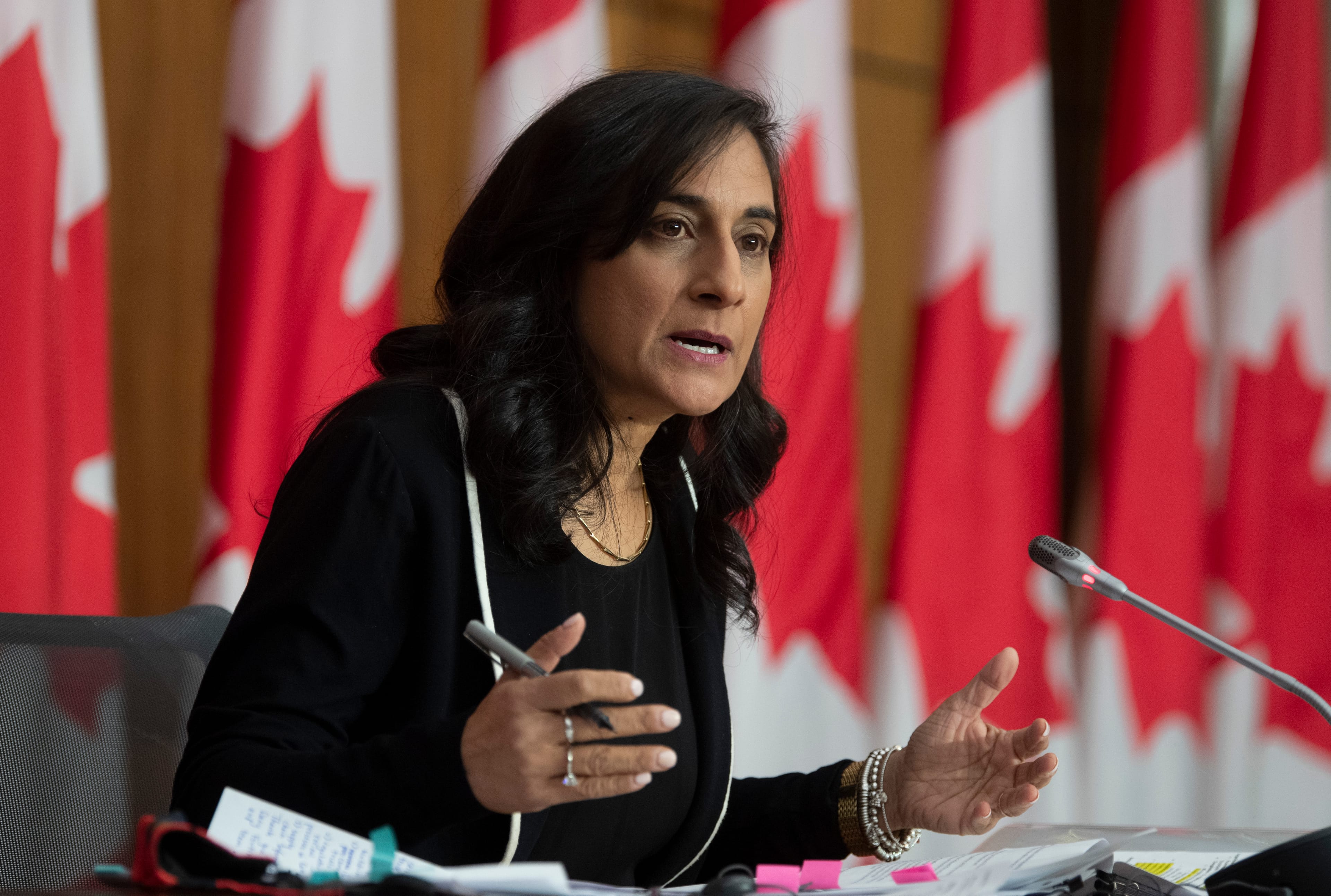 Public Services and Procurement Minister Anita Anand speaks during a news conference Monday December 14, 2020 in Ottawa. THE CANADIAN PRESS/Adrian Wyld