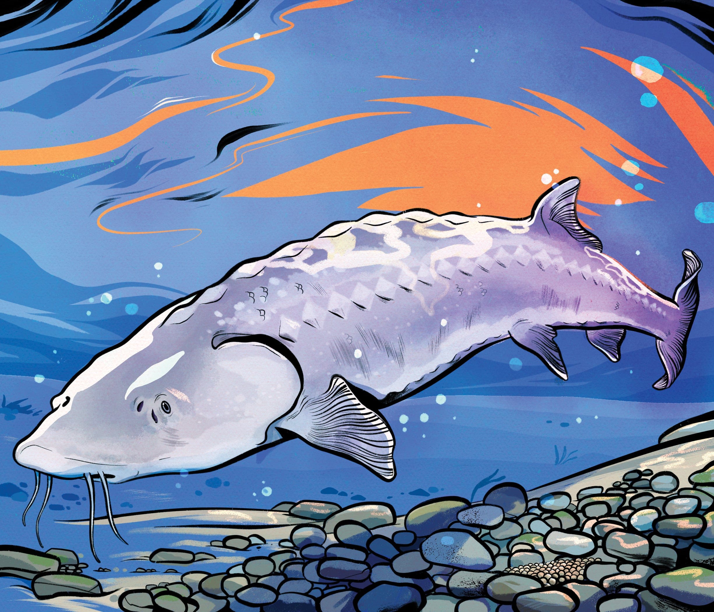 (Illustration by Natasha Donovan)