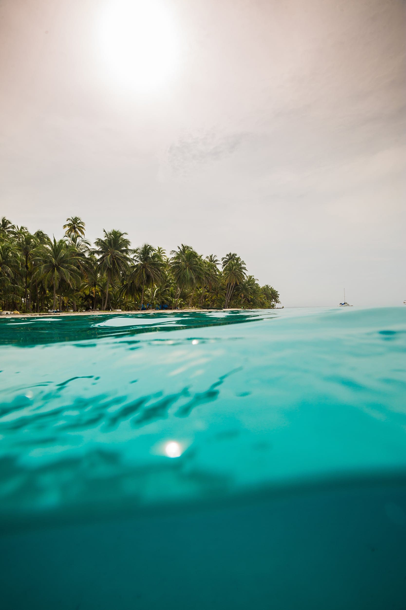 Palm trees on beach seen from water, San Blas Islands, Panama