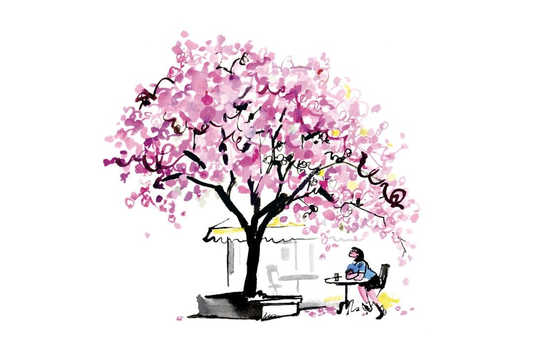 “I loved Vancouver’s tree-lined streets and felt at peace so close