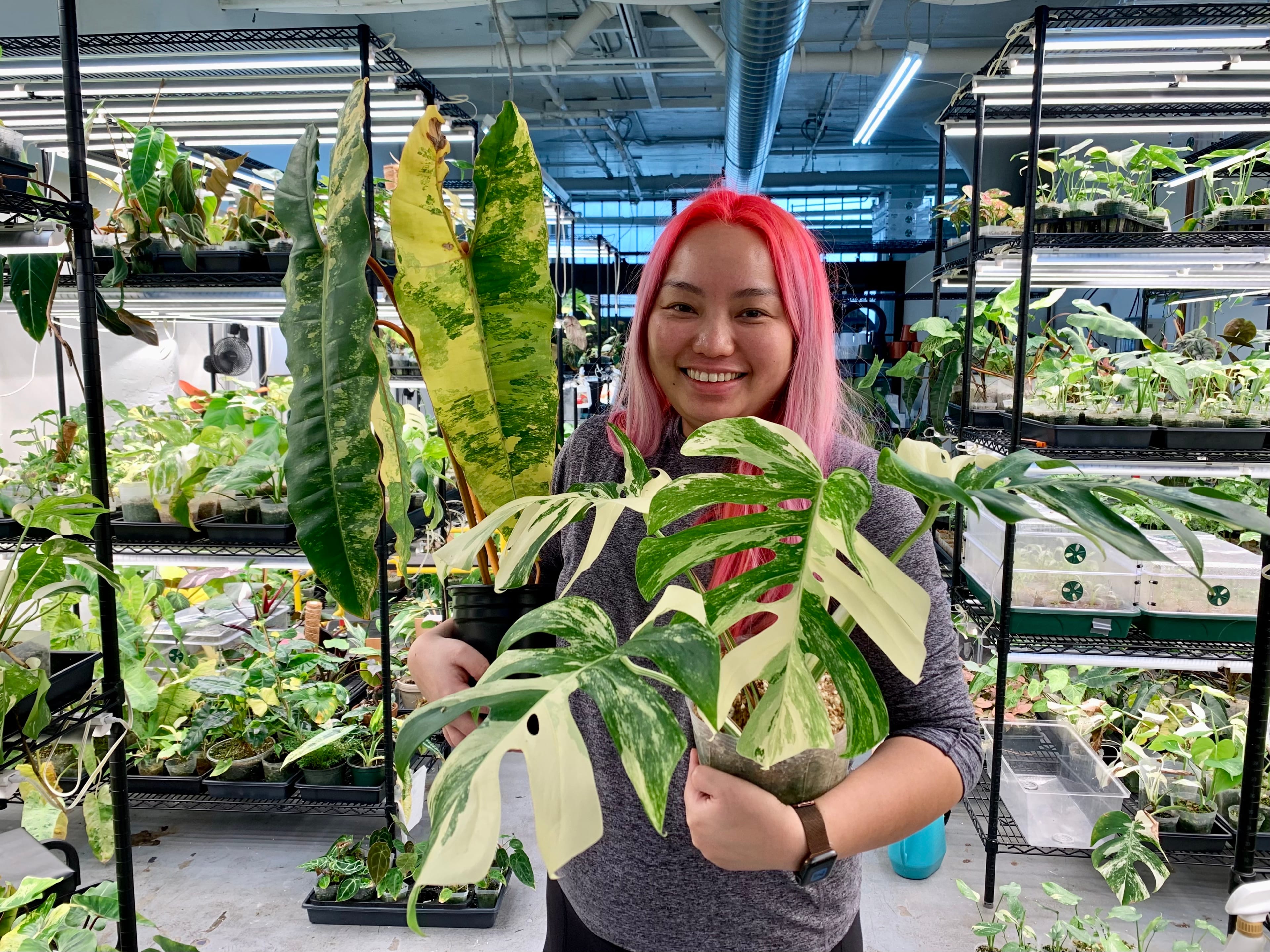Jocelyn Ho is the Rare Plant Fairy. (Photos courtesy Rare Plant Fairy)