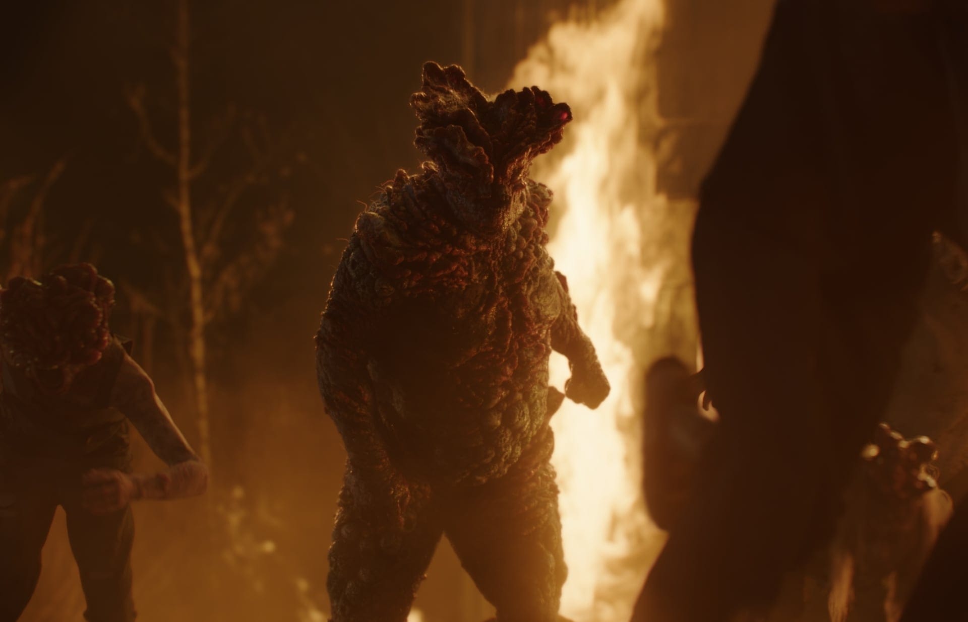 the-last-of-us