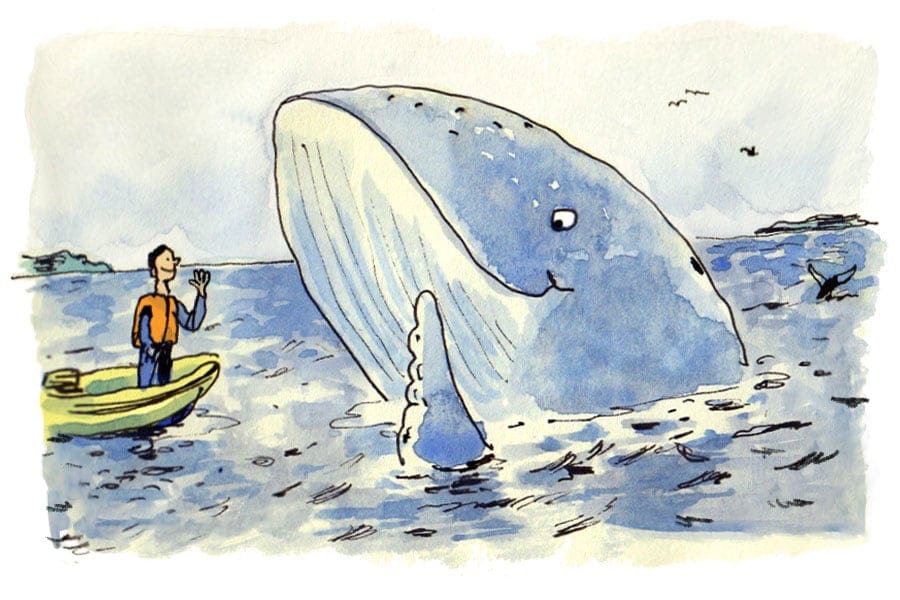 ML_Whale_Final_2