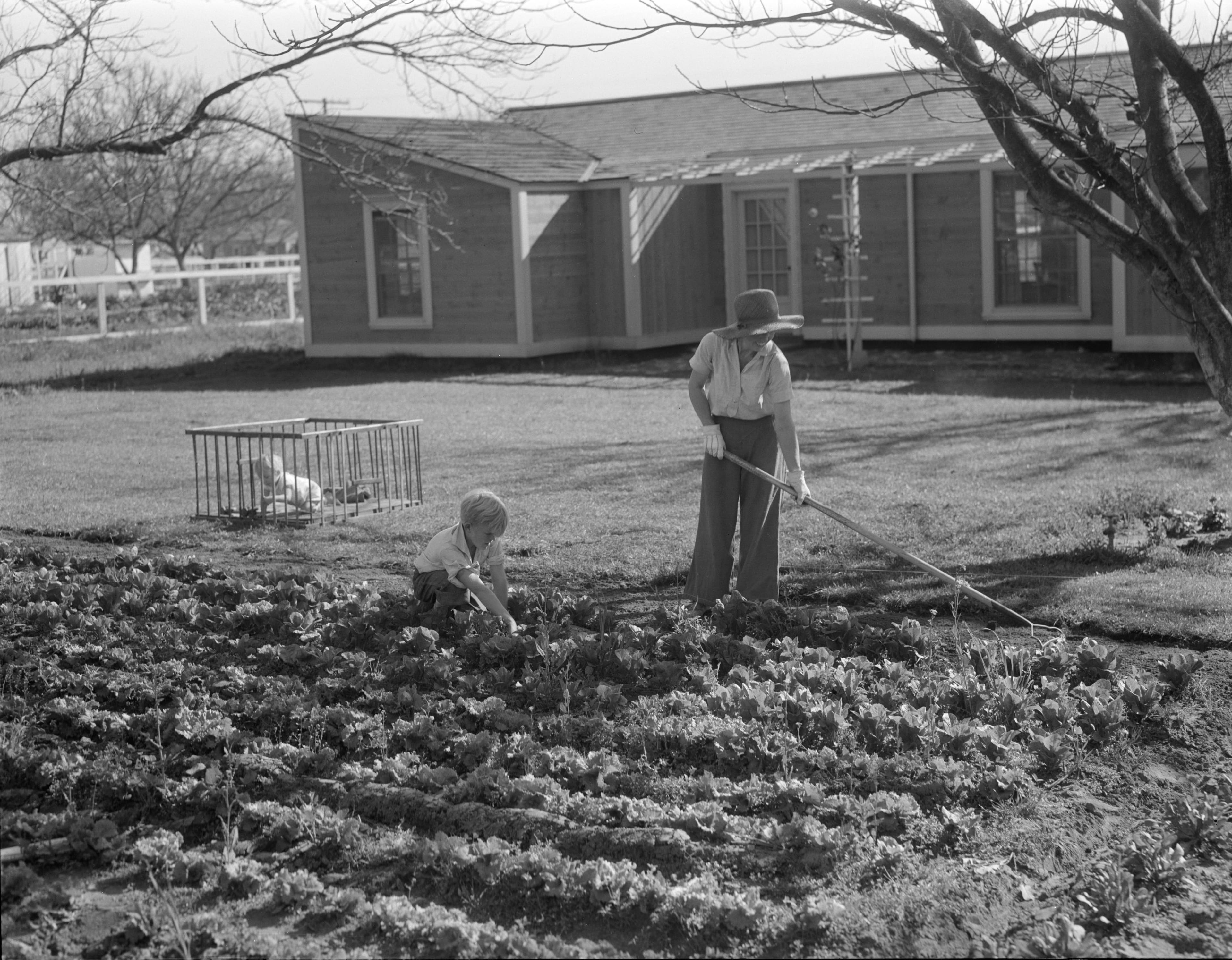 Black-and-white photograph of two children tending a vegetable garden outside a rural home, with a baby in a playpen nearby.