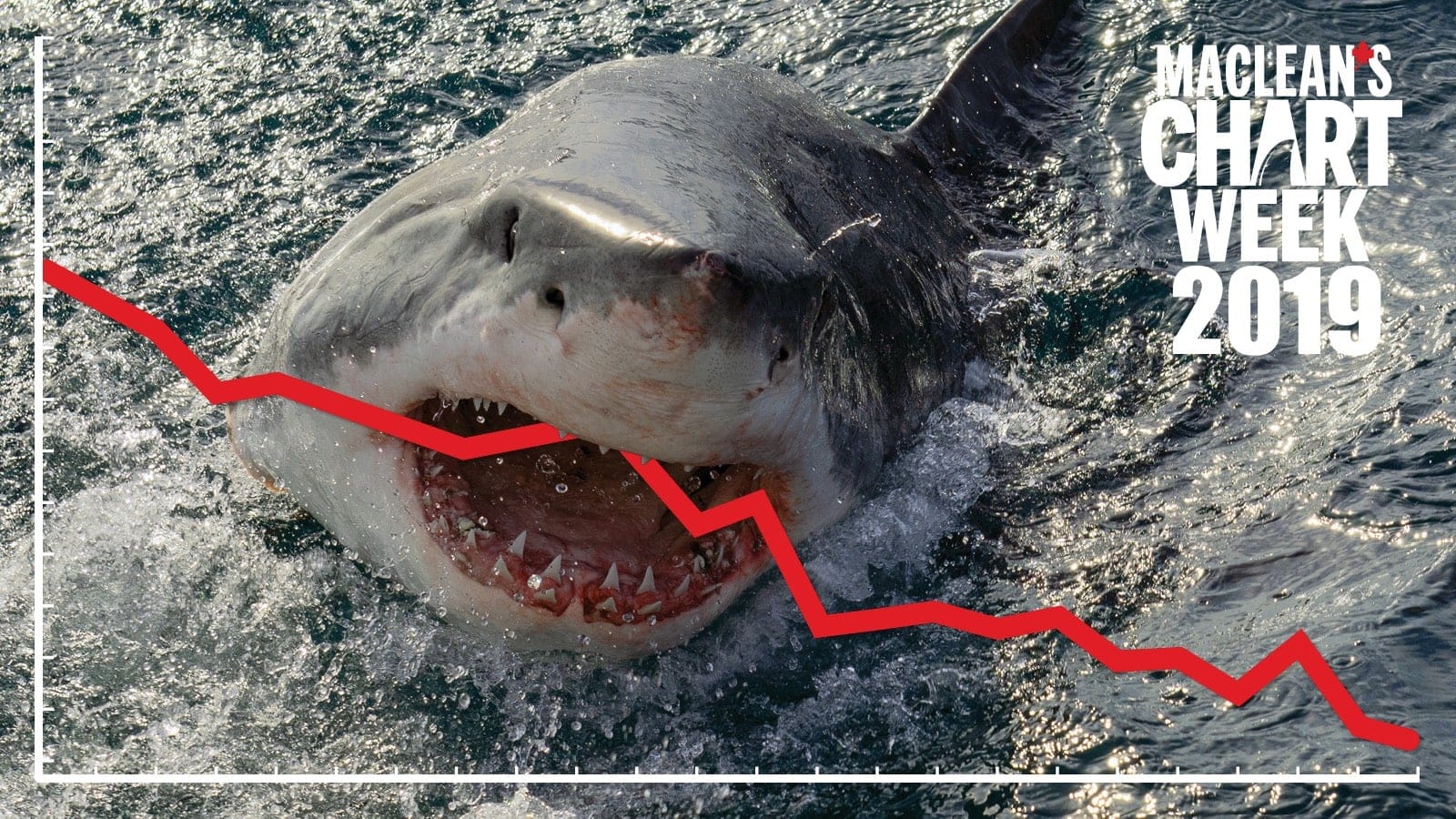 MAC_CHART WEEK_2019_