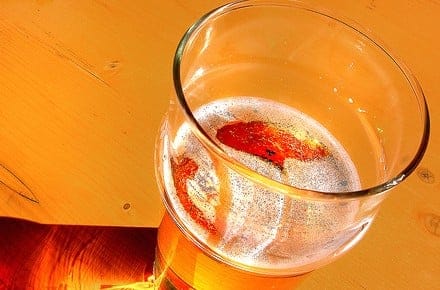 beer