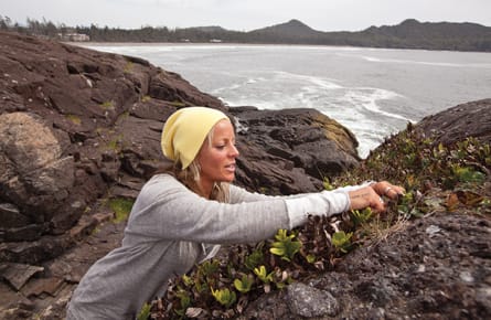 Feasting on Tofino