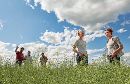 From ancient grains, a healthy new oil