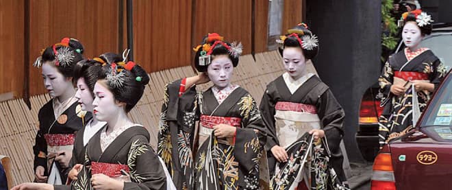 Calling all geishas