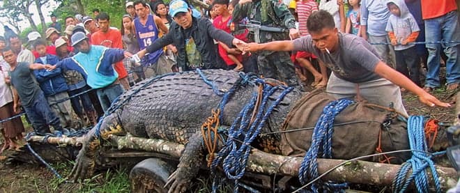 Good news