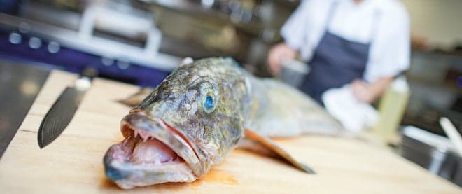 You’ll absolutely love ‘minkfish’