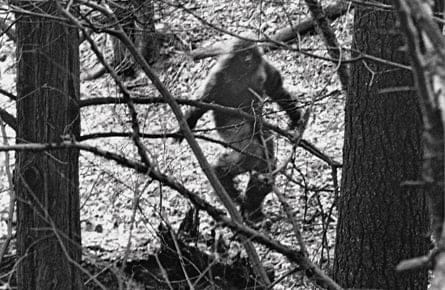 All talk, no yeti