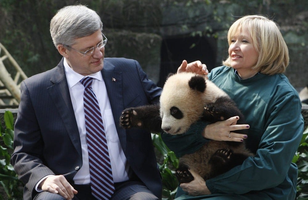 Stephen Harper