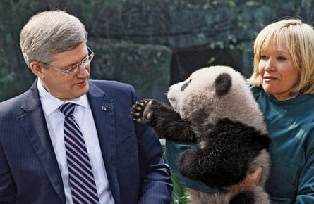 Stephen Harper