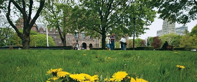 An odd way to encourage a more natural environment