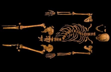 The skeleton of Richard III, which was discovered at the Grey Friars excavation site in Leicester, central England, is seen in this photograph provided by the University of Leicester and received in London