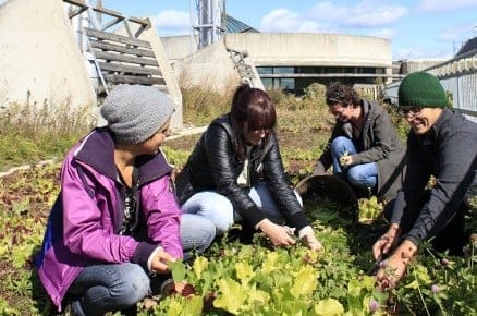 Students growing vegetables at Trent Jessica Darmanin)