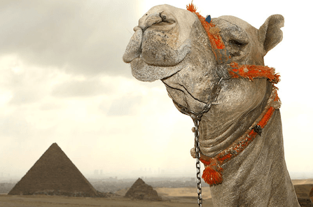 CAMEL-3