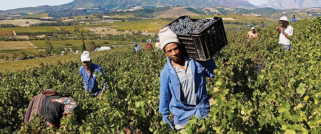 Amid strikes, a win for wine