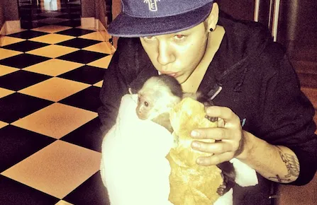 bieber monkey feature