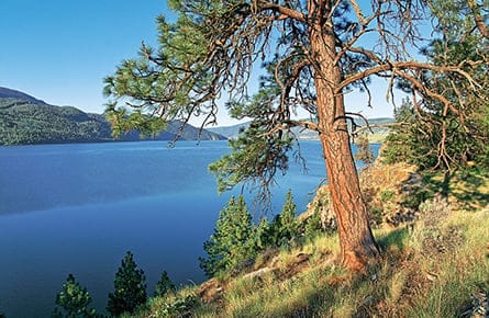 For sale: Pristine wilderness property, just mind the mines