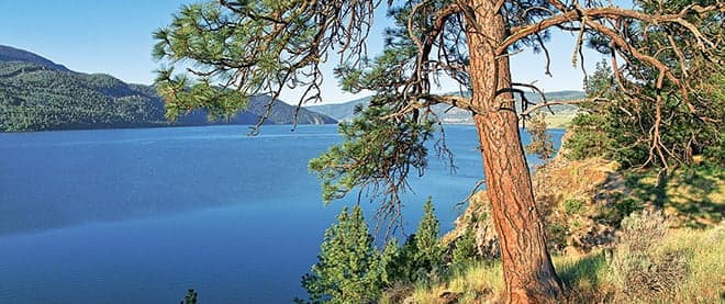 For sale: Pristine wilderness property, just mind the mines