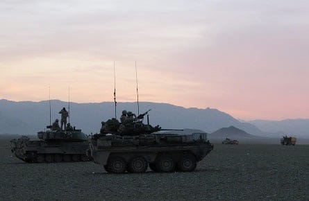 URGENT AFGHAN CDA DEATHS