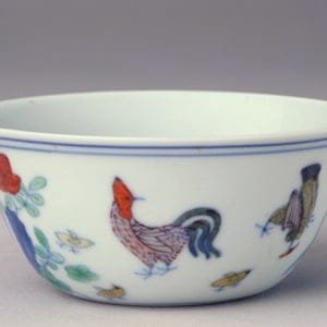 chicken-feature