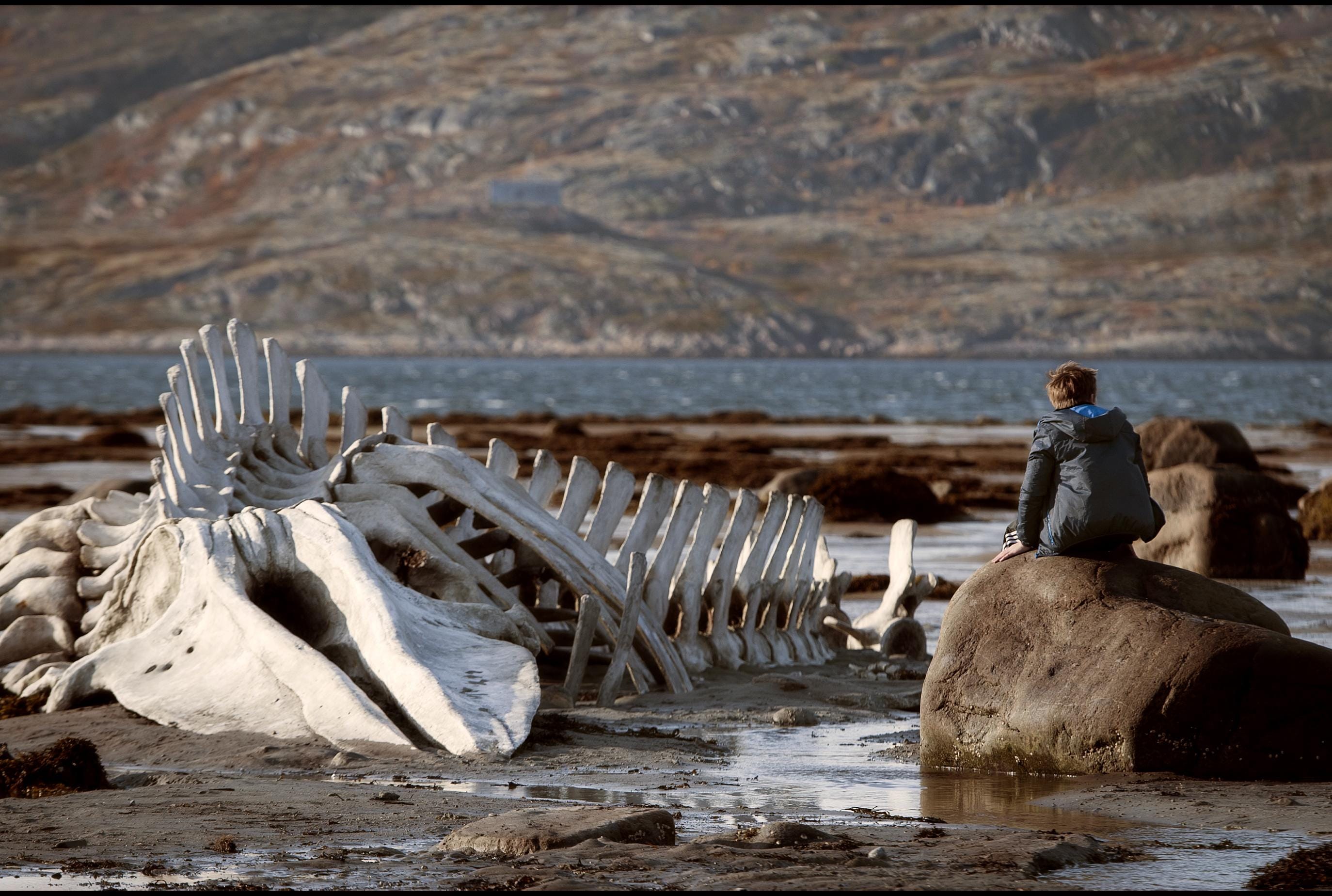 A scene from 'Leviathan'