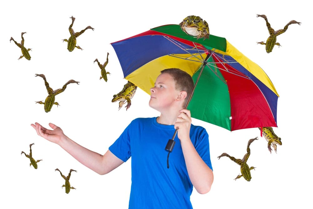 (Shutterstock)