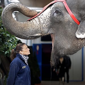 APTOPIX Monaco Circus Festival