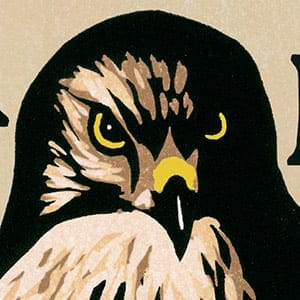 H is for Hawk by Helen Macdonald. No Credit.